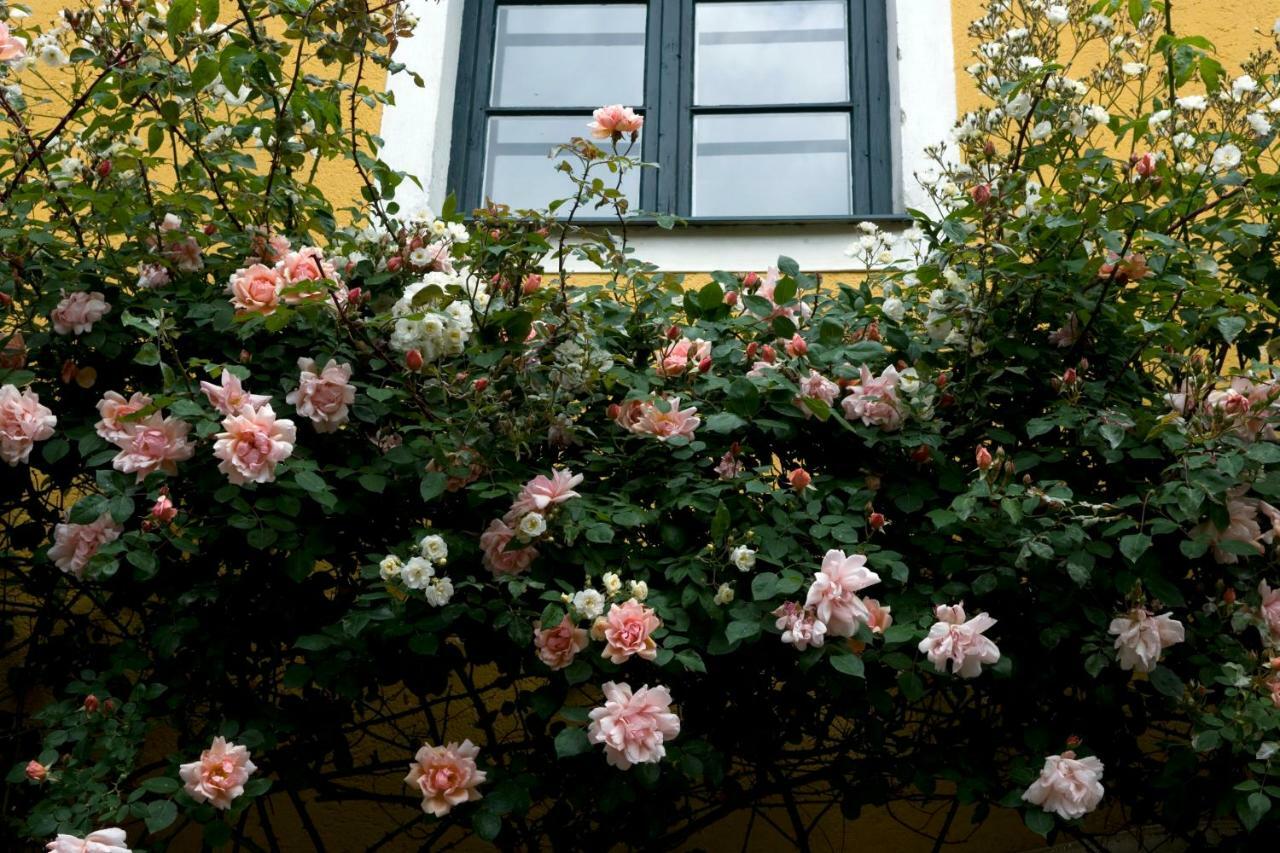 Bed and Breakfast Marienschloessl Wiedendorf Esterno foto