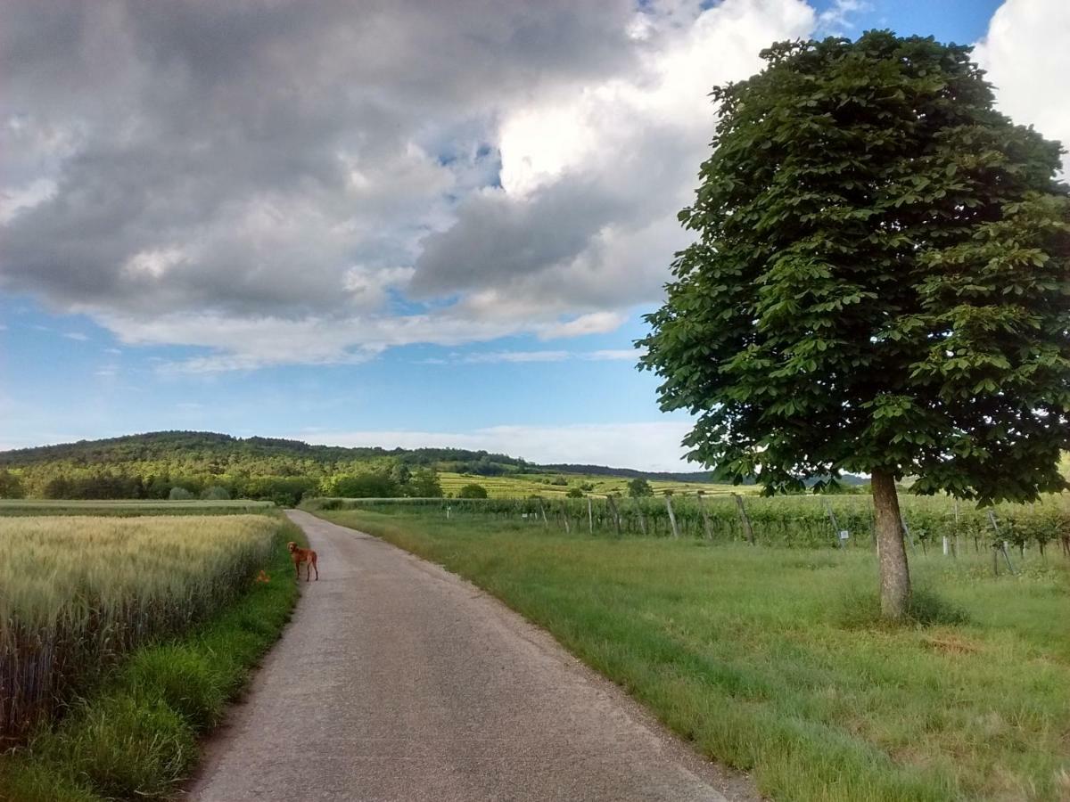 Bed and Breakfast Marienschloessl Wiedendorf Esterno foto